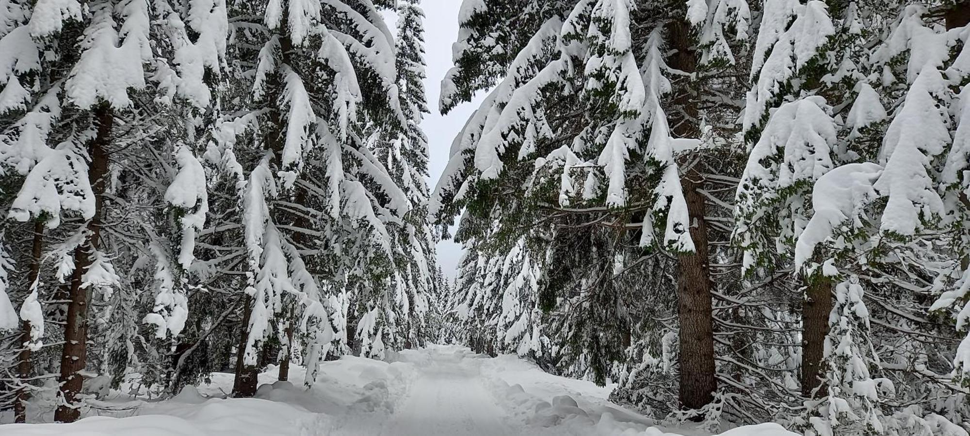 Monte Zen Villa Zabljak  Luaran gambar