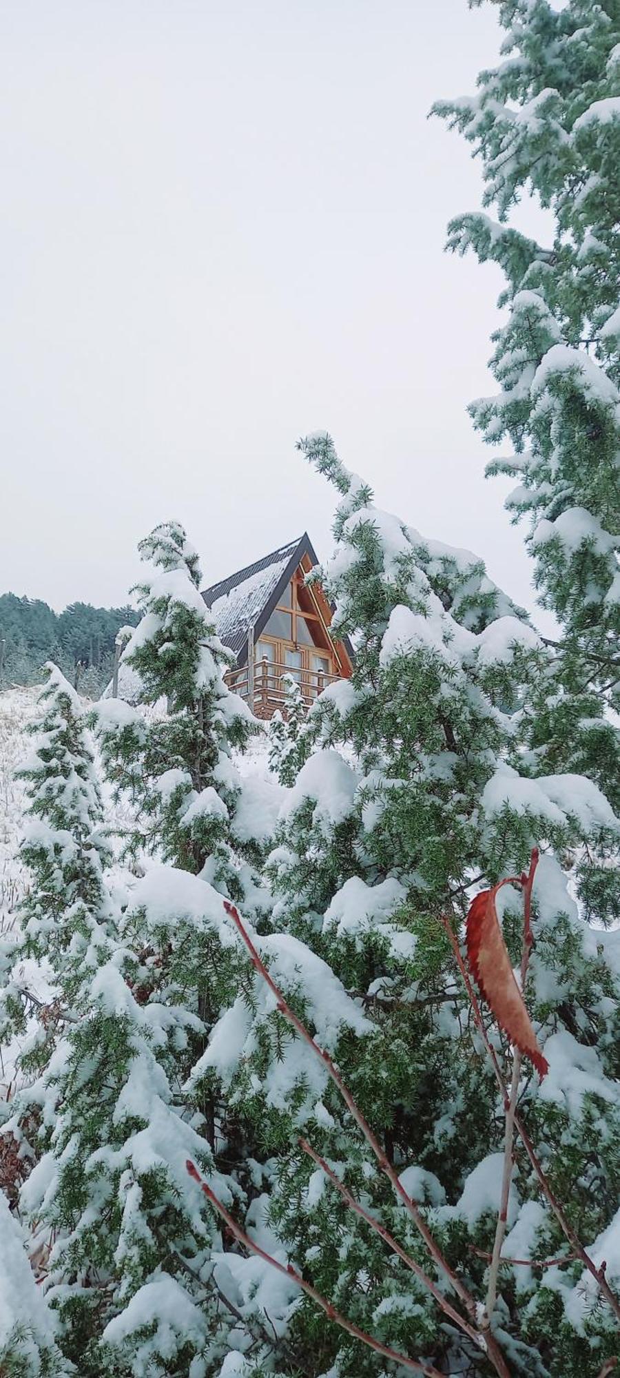 Monte Zen Villa Zabljak  Luaran gambar
